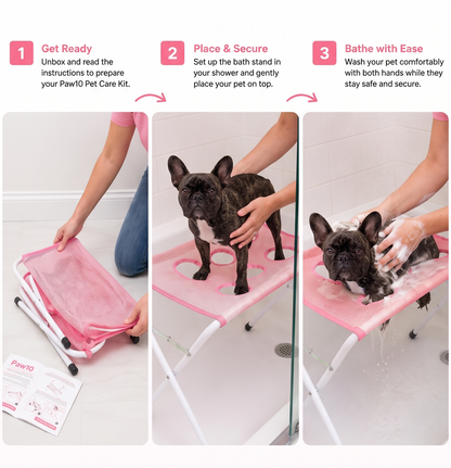 Paw10™ Pet Care Station